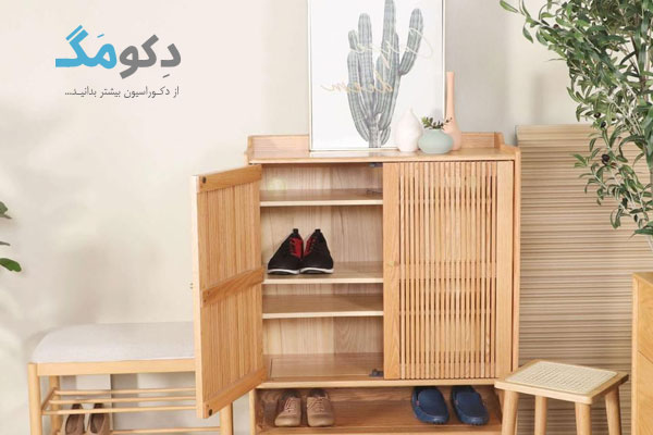 راهنمای خرید جا کفشی