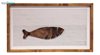 تابلو کلاژ چوبی طرح ماهی مدل T2022