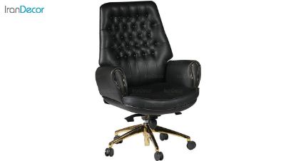 صندلی کارشناسی گلدسیت مدل رویال Royal A2090